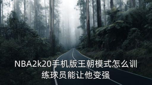 2k20手游怎么打面补，NBA2k20手机版王朝模式怎么训练球员能让他变强