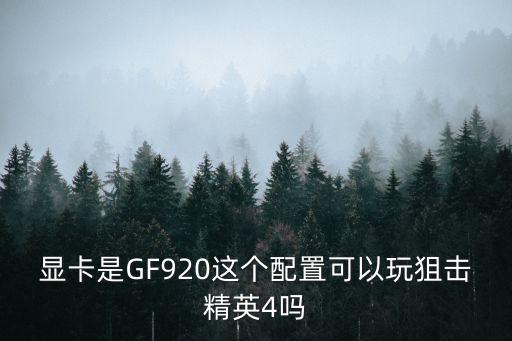 显卡是GF920这个配置可以玩狙击精英4吗