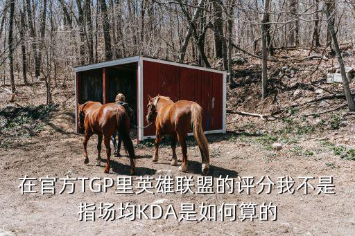 在官方TGP里英雄联盟的评分我不是指场均KDA是如何算的