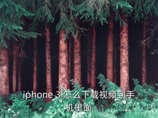 iphone 3 怎么下载视频到手机里面