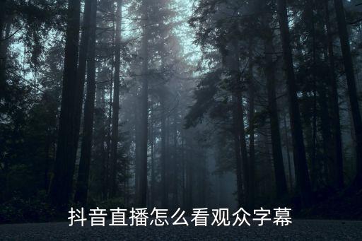 抖音直播怎么看观众字幕