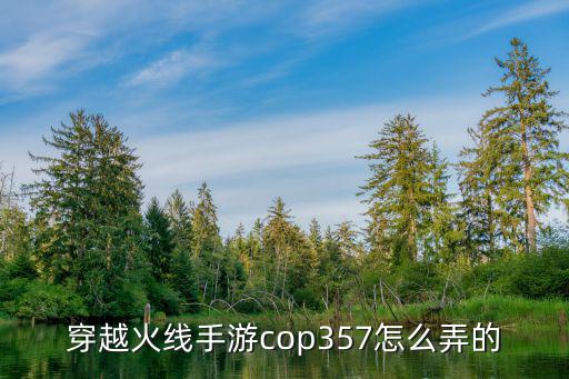 穿越火线手游cop357怎么弄的