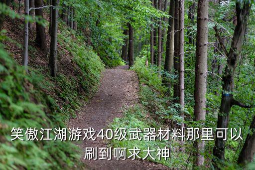 笑傲江湖游戏40级武器材料那里可以刷到啊求大神