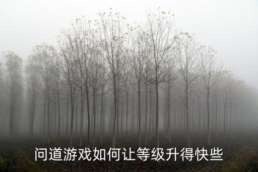 问道游戏如何让等级升得快些