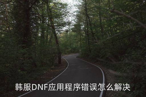 韩服DNF应用程序错误怎么解决