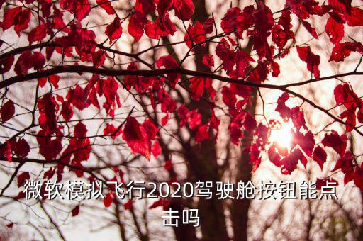 手游模拟飞行2020怎么开舱门，为什么微软模拟飞行2020只能看到廊桥航站楼不见了