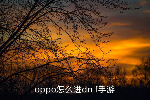 oppo怎么进dn f手游