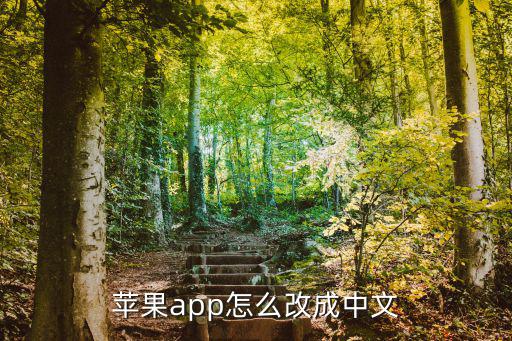 苹果app怎么改成中文