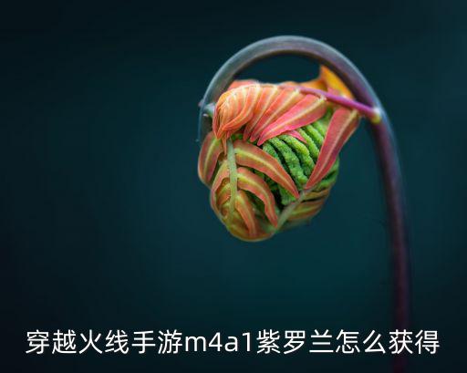 穿越火线手游m4a1紫罗兰怎么获得