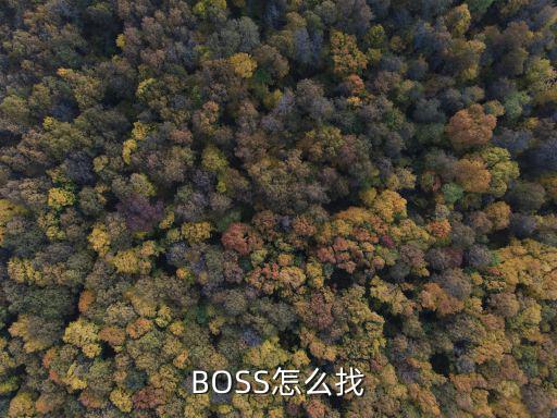 BOSS怎么找