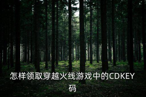 怎样领取穿越火线游戏中的CDKEY码