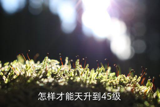 阴阳师手游怎么快速升到45级，怎样才能天升到45级