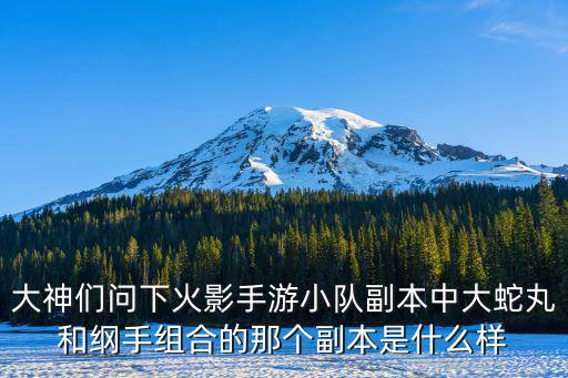 大神们问下火影手游小队副本中大蛇丸和纲手组合的那个副本是什么样