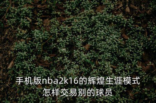 手机版nba2k16的辉煌生涯模式怎样交易别的球员