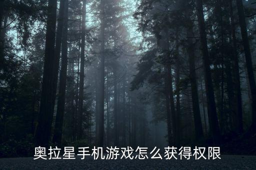 奥拉星手机游戏怎么获得权限