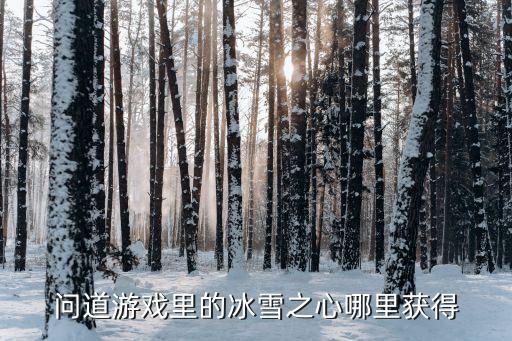 问道游戏里的冰雪之心哪里获得