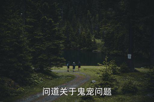 问道关于鬼宠问题