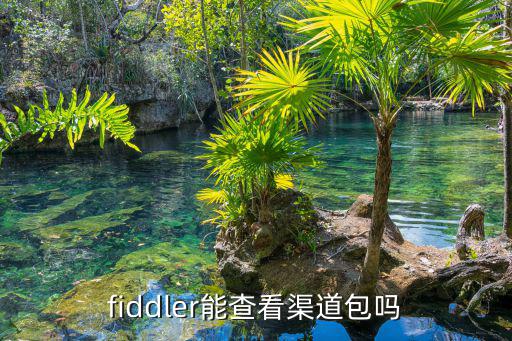 fiddler能查看渠道包吗