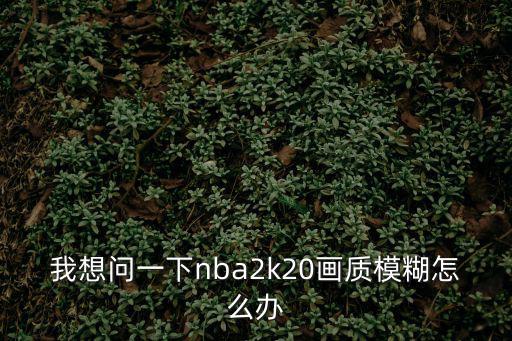 我想问一下nba2k20画质模糊怎么办