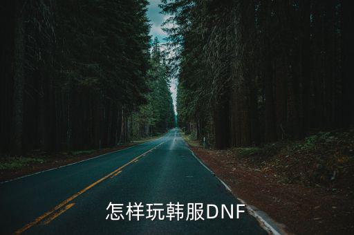 怎样玩韩服DNF