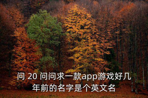 问 20 问问求一款app游戏好几年前的名字是个英文名