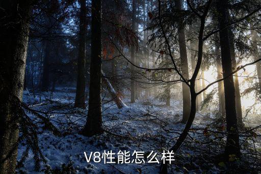 V8性能怎么样