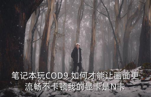 用电脑玩cod手游卡顿怎么办，我电脑玩使命召唤超卡