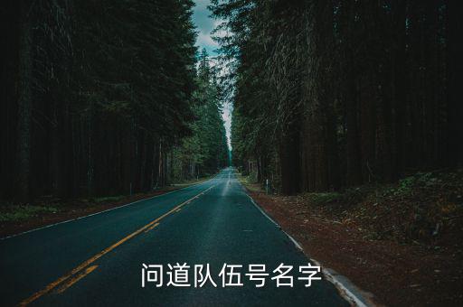 问道队伍号名字