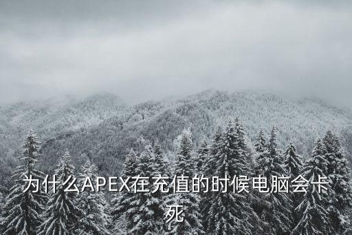 为什么APEX在充值的时候电脑会卡死