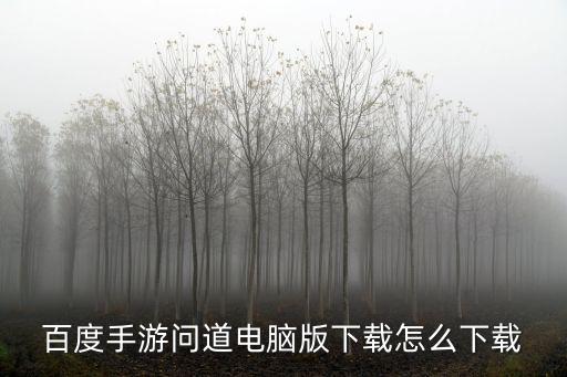 百度手游问道电脑版下载怎么下载