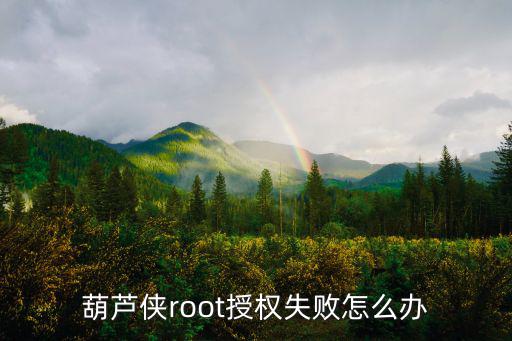 葫芦侠root授权失败怎么办