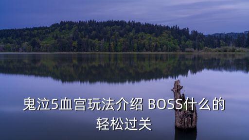 鬼泣5血宫玩法介绍 BOSS什么的轻松过关