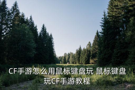 CF手游怎么用鼠标键盘玩 鼠标键盘玩CF手游教程