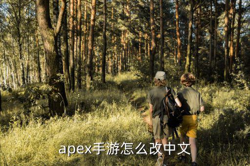 apex手游怎么改中文
