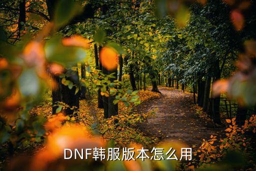 韩服dnf手游cdk苹果怎么用，DNF手游苹果系统怎么玩 苹果系统登录介绍