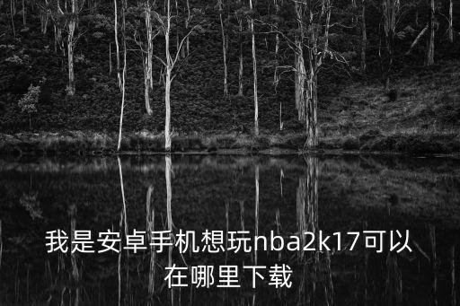 我是安卓手机想玩nba2k17可以在哪里下载