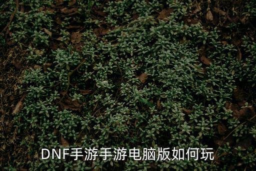 怎么玩dnf手游内测版，DNF手游手游电脑版如何玩