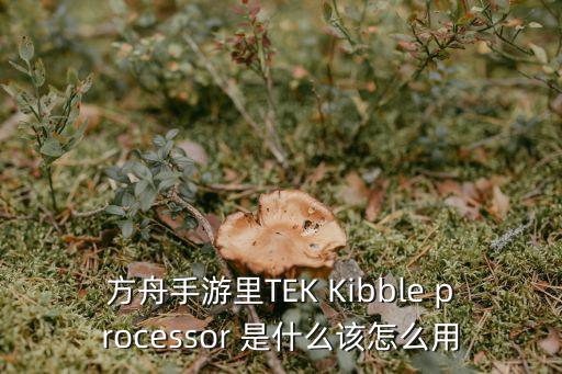 方舟手游里TEK Kibble processor 是什么该怎么用