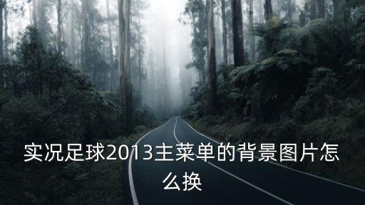 实况足球2013主菜单的背景图片怎么换