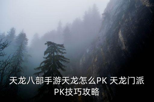 天龙八部手游天龙怎么PK 天龙门派PK技巧攻略