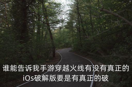 谁能告诉我手游穿越火线有没有真正的iOs破解版要是有真正的破