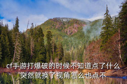 cf手游炸仓了怎么办，cf手游打爆破的时候不知道点了什么突然就换了视角怎么也点不