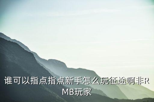 谁可以指点指点新手怎么玩征途啊非RMB玩家