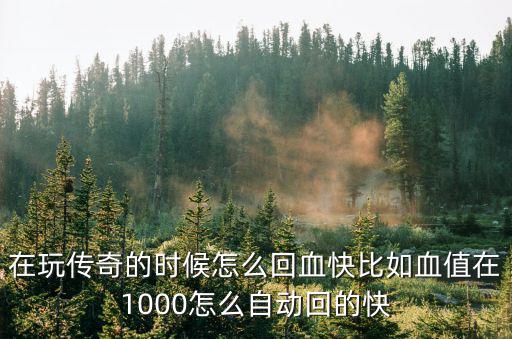 在玩传奇的时候怎么回血快比如血值在1000怎么自动回的快