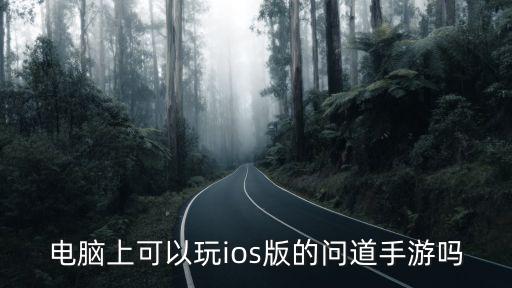 电脑上可以玩ios版的问道手游吗