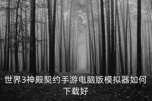 小偷模拟器要怎么下载手游版，手机如何下载软件游戏