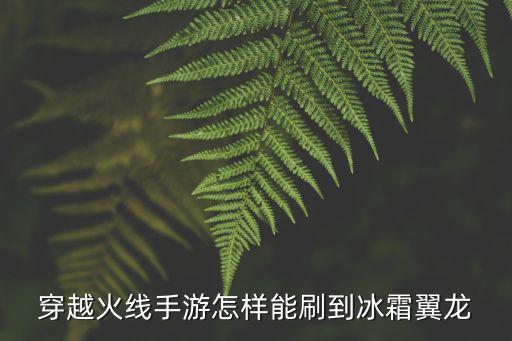 穿越火线手游冰霜惩戒怎么用，穿越火线手游怎样能刷到冰霜翼龙