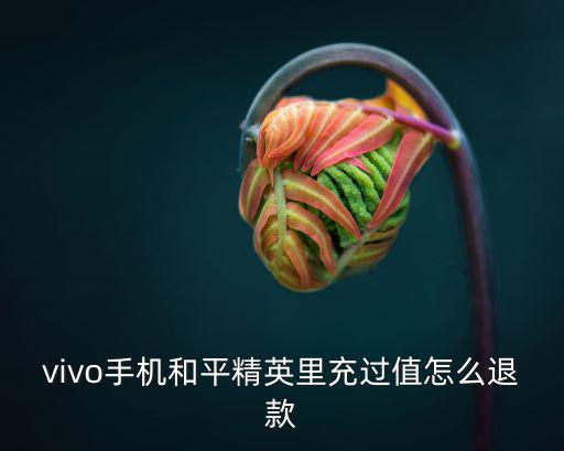 vivo手机和平精英里充过值怎么退款