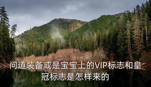 问道装备或是宝宝上的VIP标志和皇冠标志是怎样来的