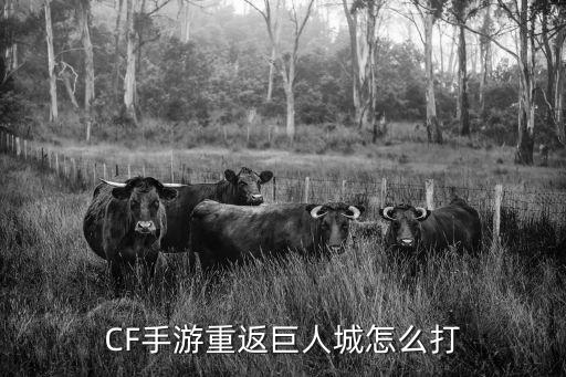 CF手游重返巨人城怎么打